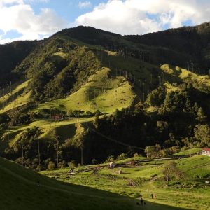 Plan valle de cocora