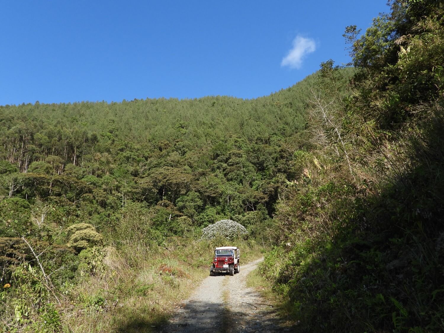los-caminos-de-la-vida