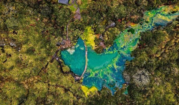 colores de murillo tolima