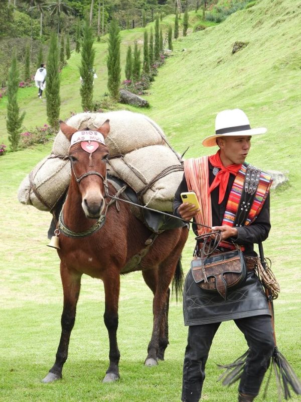tour compartido arriero